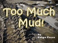 Too_Much_Mud